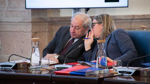 Jos� Tom� junto a Pilar Garc�a Porto durante el pleno ordinario