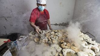 Festa do congro de Mux�a