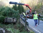 El veh�culo se cay� por un barranco hasta un riachuelo y qued� volcado entre matorrales. 