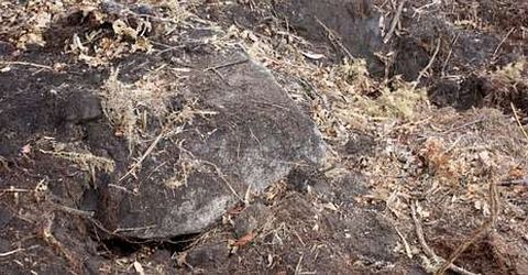 Vista de una piedra removida, probablemente del t�mulo funerario, en A Arqui�a de Vilaseco. 