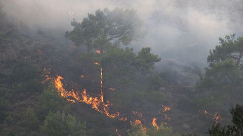 El incendio en la isla de Rodas (Grecia) quema un monte de pinos este s�bado.