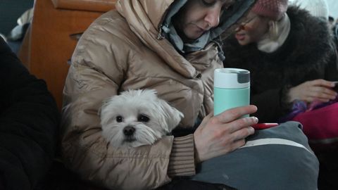 Una mujer aguarda con su mascota en una estacin de Kiev