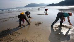 Mariscadoras recogiendo coquina en la playa de Abrela, en O Vicedo, en septiembre del 2012