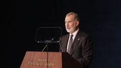 El rey Felipe VI interviene durante la ceremonia de entrega de los Premios Princesa de Asturias celebrada este viernes en el Teatro Campoamor, en Oviedo