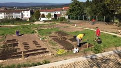 Huerta de Alm�ciga