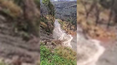 As&iacute; cae el agua por la monta&ntilde;a de Quiroga quemada el a&ntilde;o pasado