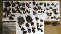 Un total de 81 piezas forman el conjunto de escorias de hierro descubierto en una de las sepulturas del cementerio medieval de Cereixa, que �seg�n han podido saber los investigadores� era de una mujer
