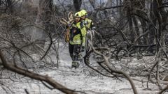 Bomberos trabajando en las labores de extinci�n de los incendios en El Saler (Valencia).