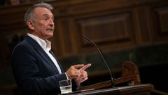 Enrique Santiago en el Congreso.