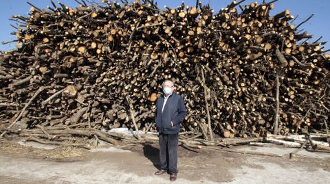 Julio Corti�as, cunha pequena parte dos troncos de pino que garda Prodeme � espera de transformalos en combustible