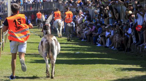 Un jinete trata de volver a montar tras una cada en plena carrera