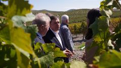 Planas durante la visita a unos vi�edos celebrada en el marco de la Reuni�n Informal de Ministros (RIM) de Agricultura de la Uni�n Europea