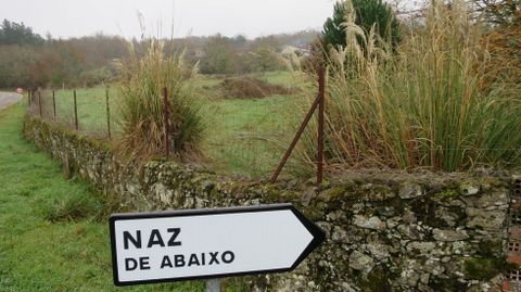 Los plumachos crecen en diversas fincas particulares, como la de la imagen, situada en la localidad de Naz de Abaixo, en Sober