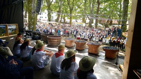 Representantes de las diez parroquias ribere�as de O Savi�ao, en el escenario con las cestas de uvas preparadas para la pisa
