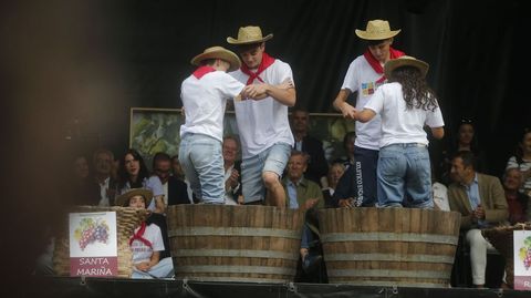 El pisado de uvas es el acto m�s simb�lico del programa de la Festa da Vendima da Ribeira Sacra