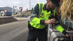 Un guardia civil examina el dep�sito de combustible de un cami�n dentro de la campa�a especial de vigilancia del transporte