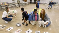 Cocan en una jornada de intervención asistida para niños con necesidades especiales