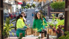 Reparto de�plantas de �rbore en Chantada polo D�a do Medio Ambiente