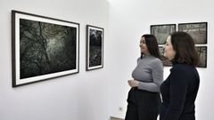 Exposici�n en Marisa Marim�n