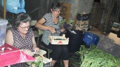 Vecinas de la localidad �pican verde� desde el mes pasado