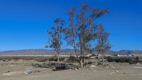 Vista del lugar donde el hombre ya en prisin intent deshacerse del cuerpo de la mujer quemndolo