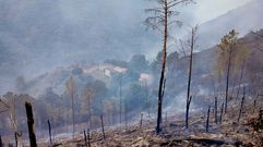 Zona quemada por el anterior incendio cerca del pueblo de Frontón