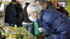 La exposici�n de Lucus est� muy arraigada en Lugo.