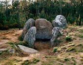 La m�moa del Rey era la m�s grande de Monte Penido hasta que ahora se han encontrado otras mayores.