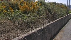 Imagen de archivo d euna parcela que no est� limpia
