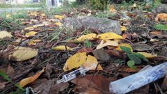 Lugar donde fue atendido por los servicios sanitarios el hombre atacado por las avispas