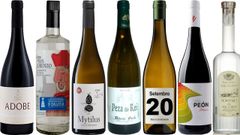 Excelentes y de precio moderado.De izquierda a derecha, Adobe 2019 (Ribeira Sacra, tinto), Fuerte de San Lorenzo (aguardiente), Mytilus 2020 (R�as Baixas, blanco), Peza do Rei 2020 (Ribeira Sacra, blanco), Setembro 2020 (Monterrei, blanco), Vi�a Pe�n 2020 (Ribeira Sacra, tinto) y Mosteiro de Xagoaza (aguardiente).