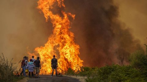 Incendio forestal en Meln, entre las aldeas de Quins y Vilaverde