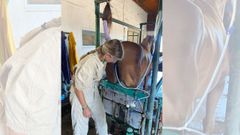 Ins Aznrez trabajando con uno de los caballos de polo.