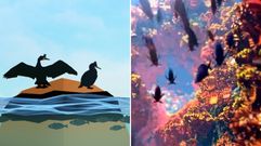 �The health of our Oceans�