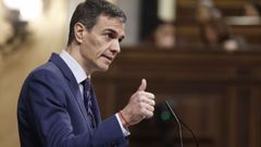 Pedro S�nchez, en una comparecencia en el Congreso