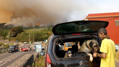 El incendio de Tenerife consume 2.600 hect�reas de superficie arbolada y obliga a confinar a miles de personas