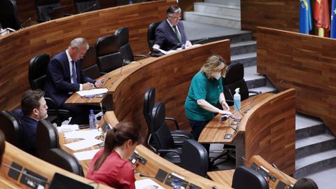 Una limpiadora realiza trabajos de desinfección durante el pleno de la Junta General del Principado.