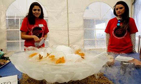 El plato ganador sorprend�a tanto por su presentaci�n como por su sabor. 