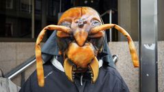 Concentraci�n de apicultores gallegos