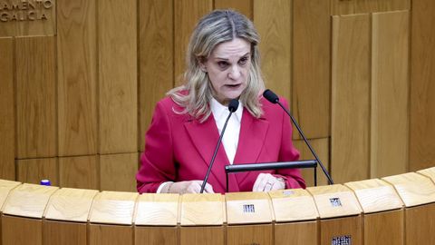 La valedora do pobo en el Parlamento, a principios de diciembre