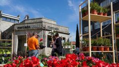 La Feira dos Cultivos se desarrollar� hasta el domingo en Goi�n.