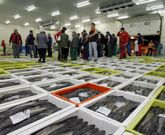 La lonja de Burela -en la foto- factur� 50 millones con la merluza, y la de Celeiro, 45. 