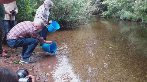 Suelta de alevines en el Piles