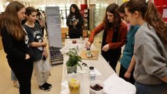 El IES Lu�s Seoane de Pontevedra vive su�primera Feira da Sustentabilidade