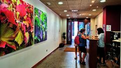 La oficina de turismo de Monforte, ubicada en el Centro do Vi�o da Ribeira Sacra