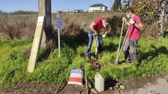 Trabajos de sealizacin de la Va Knig en el municipio de Lugo en el pasado otoo