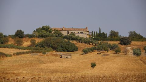 Finca La Casera de Tomillos, en Alcal del Valle (Cdiz)
