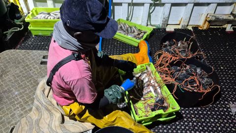 Mame Gorfall, tripulante del Xirote, poniendo la carnada que introducen en las nasas.