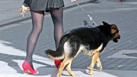Una mujer pasea con su perro, en imagen de archivo