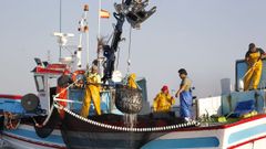 Un pesquero gallego capturando sardina en la r�a de Arousa el pasado junio